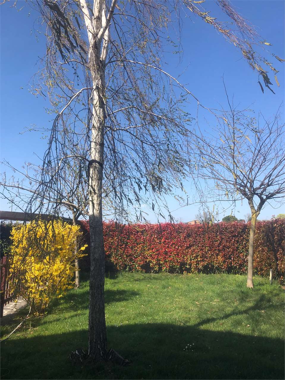 ESCLUSIVA VILLA INDIPENDENTE IN VENDITA A VOGHERA a Voghera