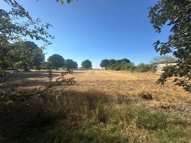 Vendesi Cascina Piemontese con terreno a Alessandria Vendesi Cascina Piemontese con terreno a Alessandria