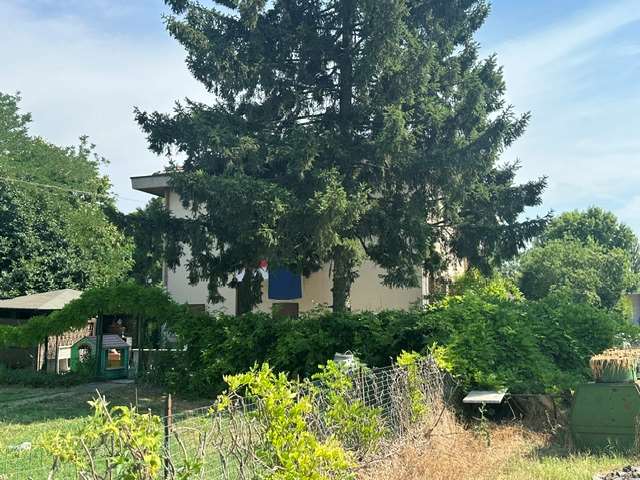 Tortona Casa Indipendente con Giardino e Box Triplo a Tortona Tortona Casa Indipendente con Giardino e Box Triplo a Tortona