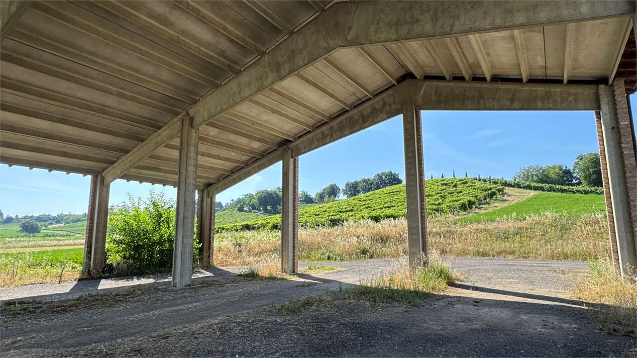 CAPANNONE IN VENDITA MONTEBELLO DELLA BATTAGLIA a Voghera CAPANNONE IN VENDITA MONTEBELLO DELLA BATTAGLIA a Voghera